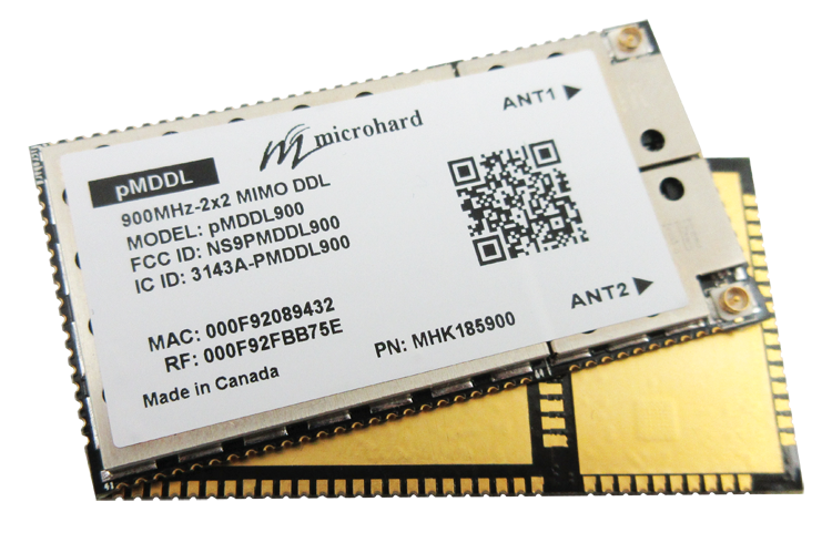 pMDDL900