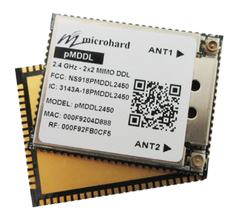 pMDDL2550